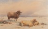 Thomas Francis Wainewright (1794-1883) 'Sheep in a landscape '1861