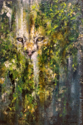 Daniel Hooper 'King of the Jungle'